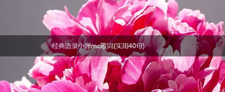 经典语录小洲mc歌词(实用40句),第1张