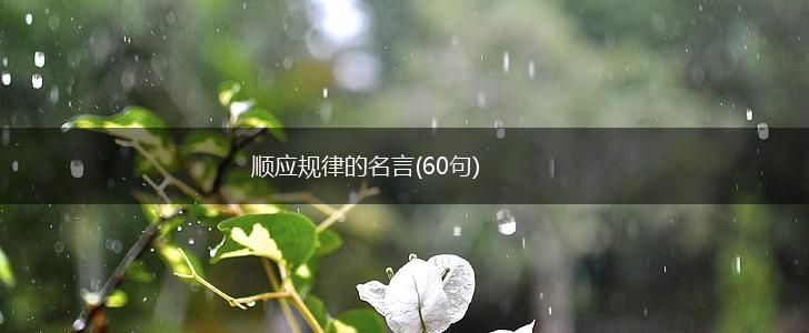顺应规律的名言(60句),第1张