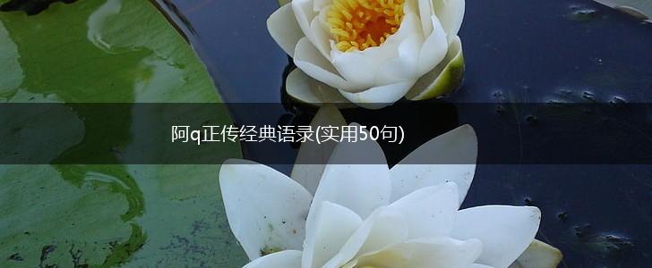 阿q正传经典语录(实用50句),第1张