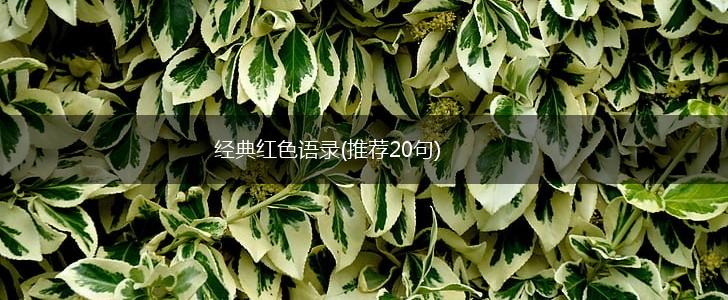 经典红色语录(推荐20句),第1张