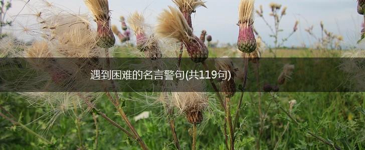 遇到困难的名言警句(共119句),第1张
