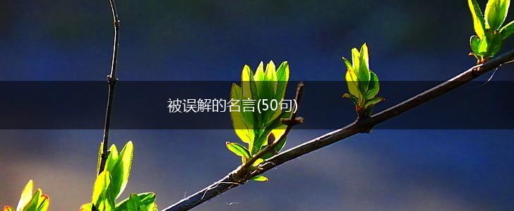 被误解的名言(50句),第1张 被误解的名言(50句),第1张