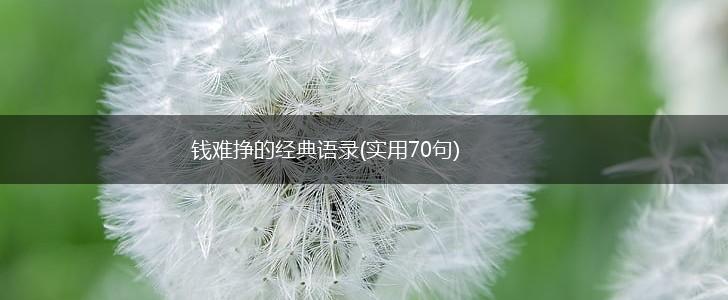 钱难挣的经典语录(实用70句),第1张