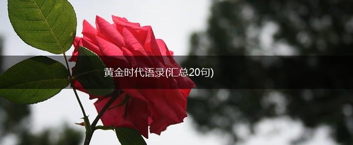 黄金时代语录(汇总20句),第1张