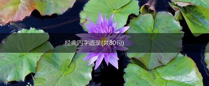 经典四字语录(共80句),第1张