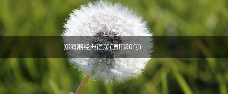 郑海潮经典语录(通用80句),第1张