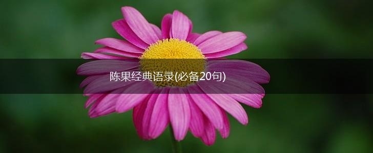 陈果经典语录(必备20句),第1张