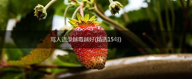 骂人语录越毒越好(精选15句),第1张