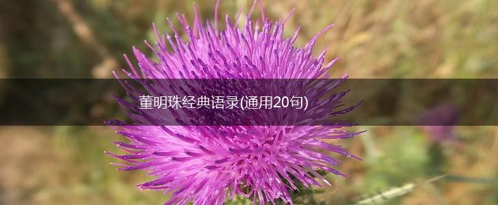 董明珠经典语录(通用20句),第1张
