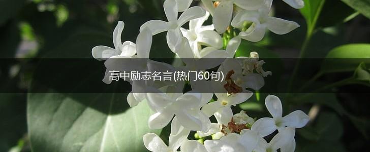 高中励志名言(热门60句),第1张