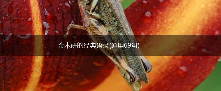 金木研的经典语录(通用69句),第1张