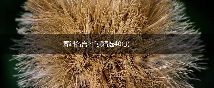 舞蹈名言名句(精选40句),第1张 舞蹈名言名句(精选40句),第1张