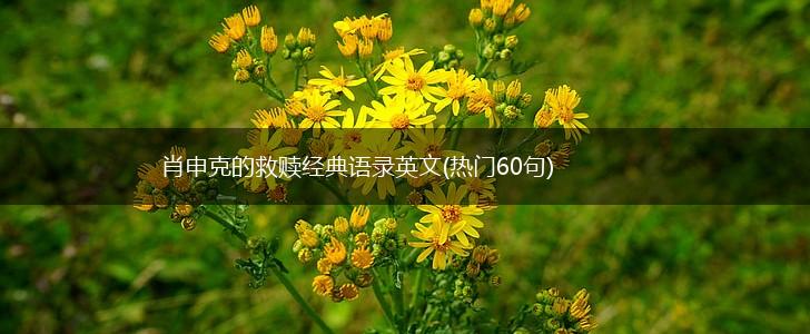 肖申克的救赎经典语录英文(热门60句),第1张