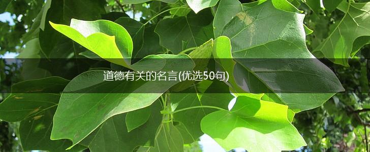 道德有关的名言(优选50句),第1张 道德有关的名言(优选50句),第1张