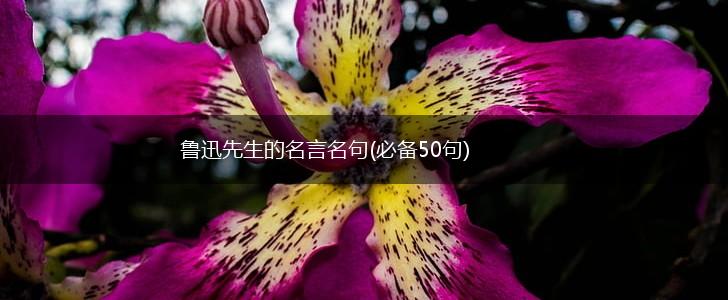 鲁迅先生的名言名句(必备50句),第1张