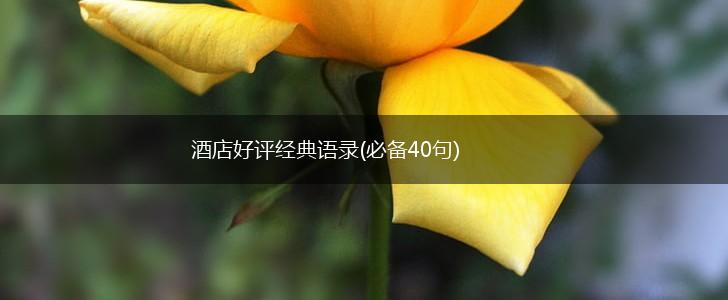 酒店好评经典语录(必备40句),第1张