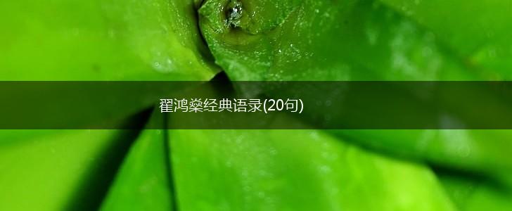 翟鸿燊经典语录(20句),第1张