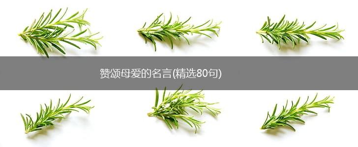 赞颂母爱的名言(精选80句),第1张 赞颂母爱的名言(精选80句),第1张