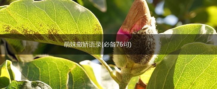 萌妹撒娇语录(必备76句),第1张