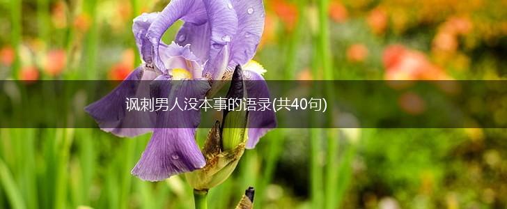 讽刺男人没本事的语录(共40句),第1张
