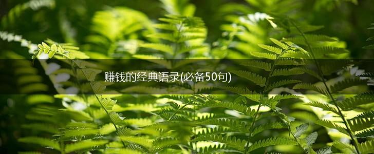 赚钱的经典语录(必备50句),第1张