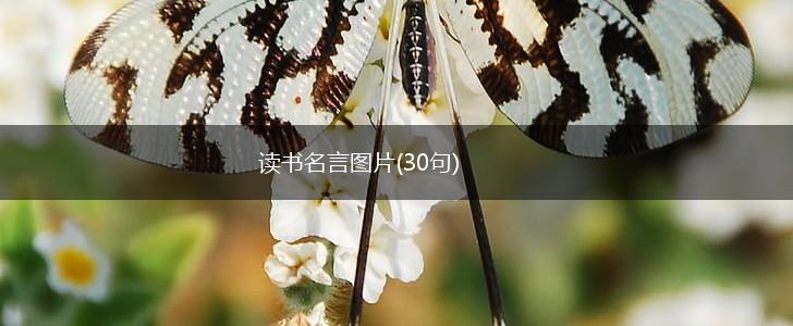 读书名言图片(30句),第1张 读书名言图片(30句),第1张