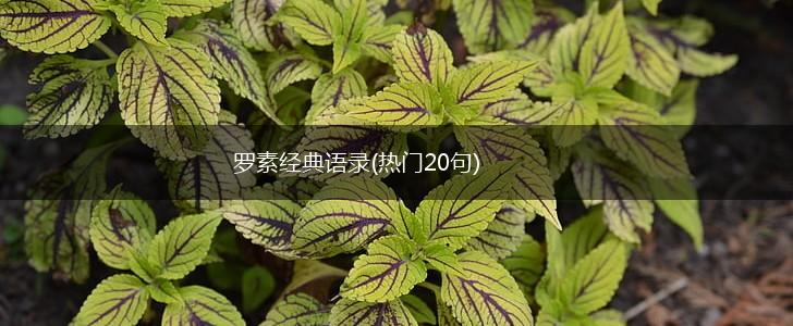 罗素经典语录(热门20句),第1张
