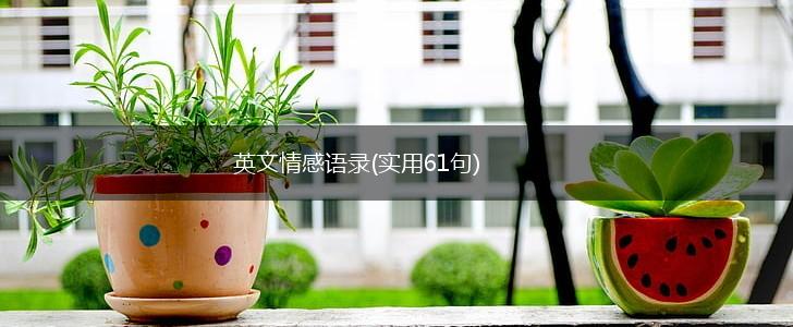 英文情感语录(实用61句),第1张