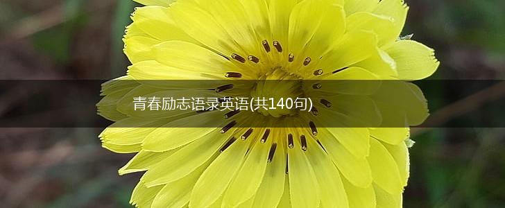 青春励志语录英语(共140句),第1张