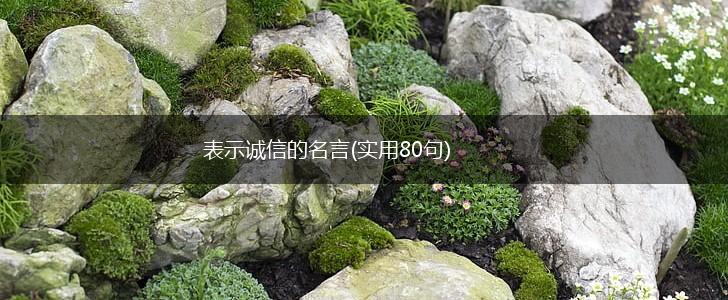 表示诚信的名言(实用80句),第1张 表示诚信的名言(实用80句),第1张