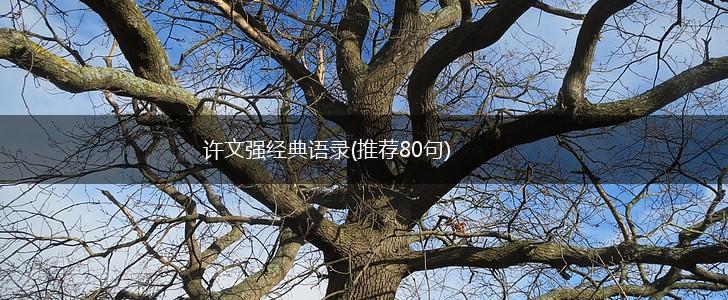 许文强经典语录(推荐80句),第1张