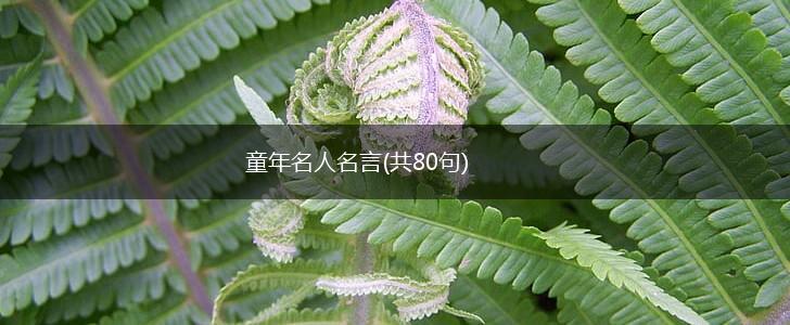 童年名人名言(共80句),第1张