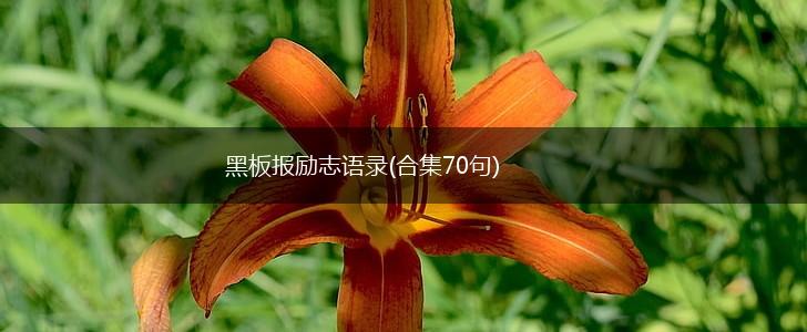 黑板报励志语录(合集70句),第1张