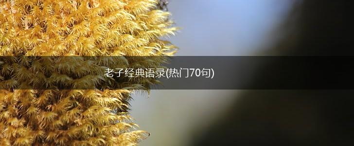 老子经典语录(热门70句),第1张