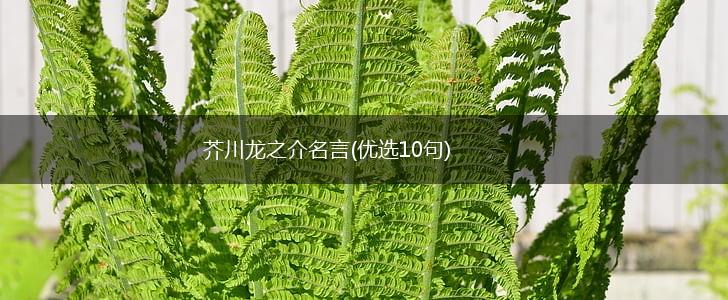 芥川龙之介名言(优选10句),第1张