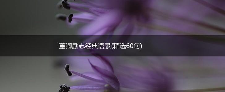董卿励志经典语录(精选60句),第1张