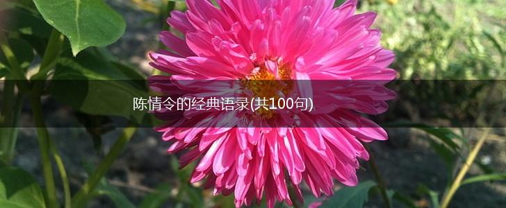 陈情令的经典语录(共100句),第1张