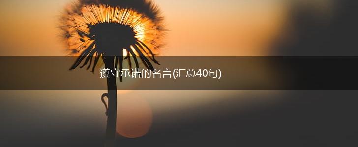 遵守承诺的名言(汇总40句),第1张 遵守承诺的名言(汇总40句),第1张