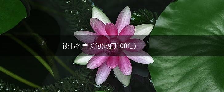 读书名言长句(热门100句),第1张 读书名言长句(热门100句),第1张