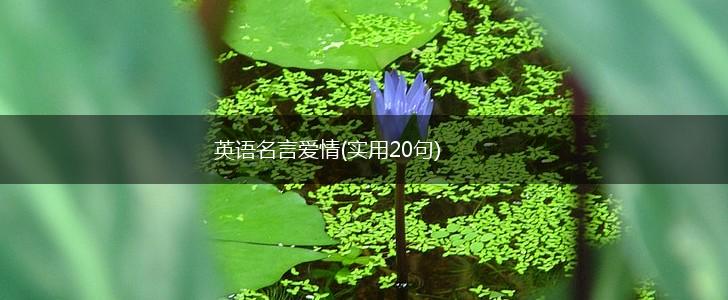 英语名言爱情(实用20句),第1张