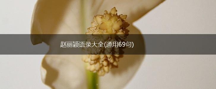 赵丽颖语录大全(通用69句),第1张