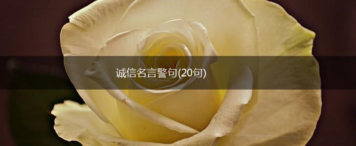 诚信名言警句(20句),第1张 诚信名言警句(20句),第1张