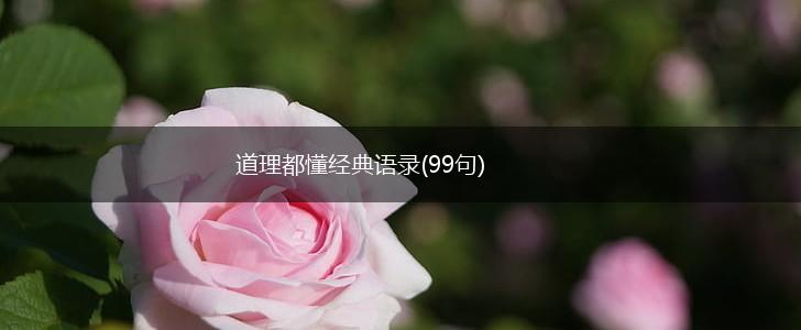 道理都懂经典语录(99句),第1张