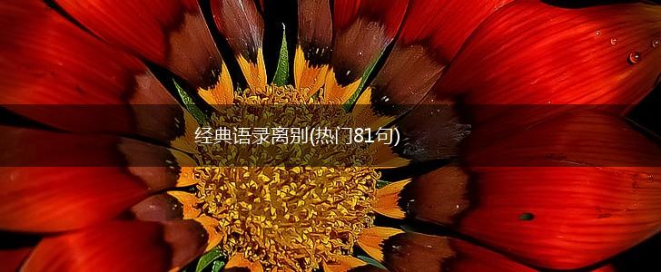 经典语录离别(热门81句),第1张