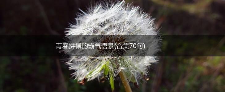 青春拼搏的霸气语录(合集70句),第1张