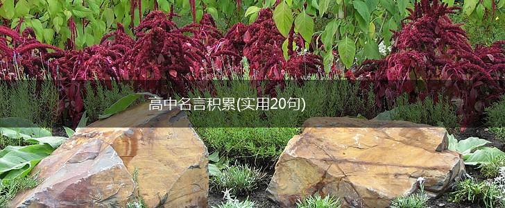 高中名言积累(实用20句),第1张