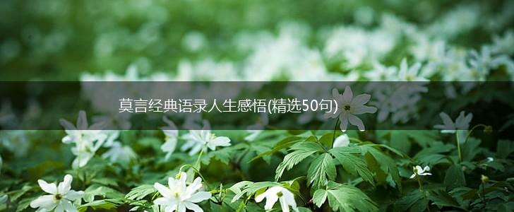 莫言经典语录人生感悟(精选50句),第1张