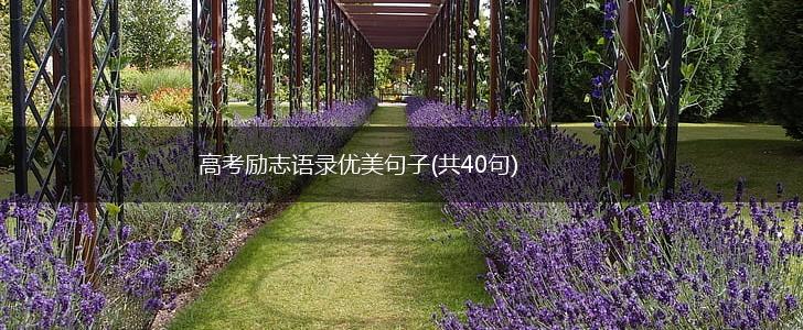 高考励志语录优美句子(共40句),第1张