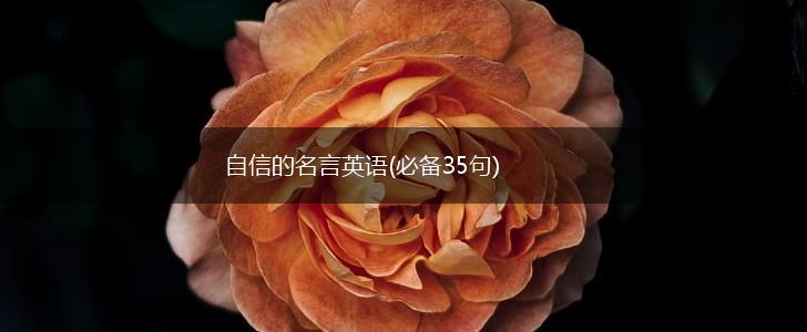 自信的名言英语(必备35句),第1张