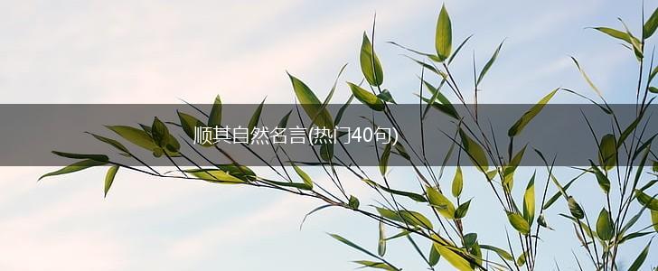 顺其自然名言(热门40句),第1张
